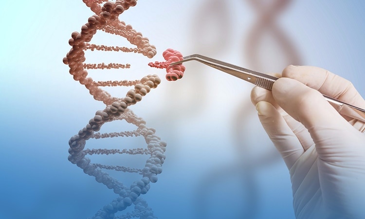 國際腦科/神經外科資訊